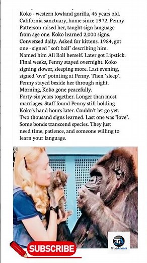 Koko the Gorilla's Final Sign Broke Millions of Hearts ❤️ | The Incredible True Story #shorts