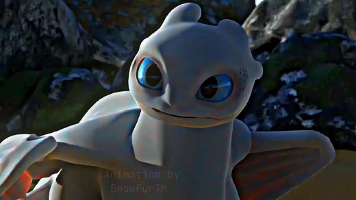 Toothless and Light Fury Baby Dragons Animation