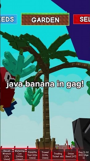 i got the java banana in #gag