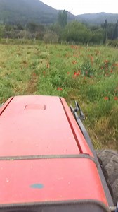 Mehmet Eski Bozdoğan on Reels