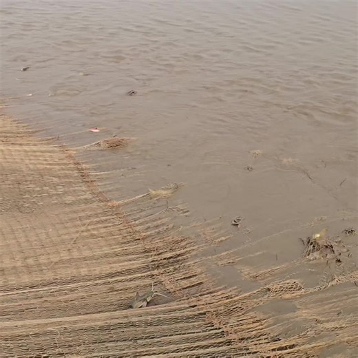 Fish hunting 2 on Instagram: "भारत की गंगा नदी में सबसे बड़ा जाल डालकर बहुत सारी मछलियों का शिकार कैसे करते हैं #fishhunting2 #machlipakadna #Netfishing #Virelvideo #Ganganadi"