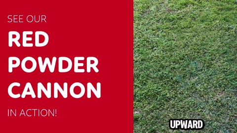 Rainbow Powder Cannons Smoke Bombs Biodegradable Poppers | Assorted 6 Pack | Launch 25 ft | 12 inch | Decorations For Photoshoots, Gender Reveal, Celebrations, Festivals, Parties | TUR Party Supplies