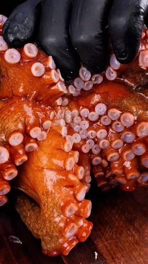 Octopus Culinary ASMR Experience