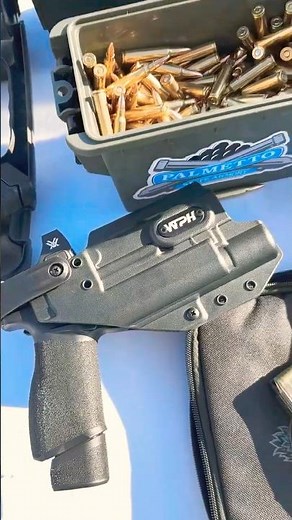 We the people level 2 light bearing duty holster for the Springfield Armory Echelon at the range.