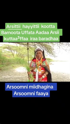 Uffata Aadaa Arsii: Gootota Afaan Oromoo