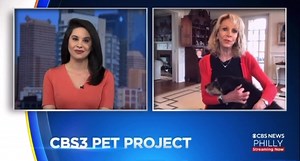 Talk about a legend. Carol Erickson is celebrating 44 years on air at CBS Philly this weekend. 44 YEARS. It’s an honor to work with her every week for the CBS3 Pet Project. Sunday morning isn’t complete without her. Congrats, Carol Erickson's Pet Page. What an incredible milestone! 👏👏👏 | Jan Carabeo