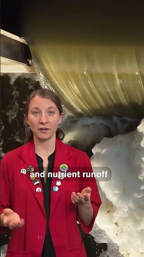 Glowing Oceans? Bioluminescent Plankton Are Back!