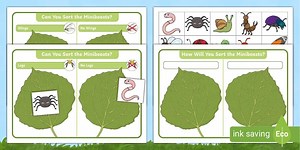 Minibeast Sorting Mats