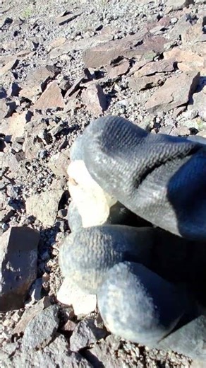 Prospecting minerals in Northern Nevada east of Reno 4