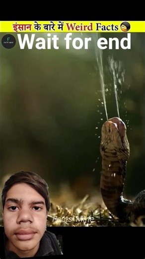 #Insan#ke#bare#mein #kuchh#aise#facts#Jo# Insan #janteh#nahin#hai per#main#jaunga #knowledge#ytshort