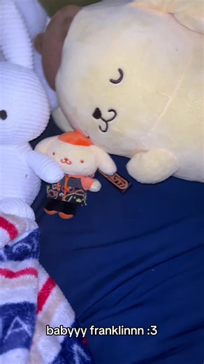 babbyyyy franklinnnnn :3 is this a reference to infinity on a high? maybe..... yes it is, you cant really see his wings but yea!! #falloutboy #plushie #bed #pompompurin #filler this little baby sheepy plush was gifted to me by a really awesome friend of mines :)