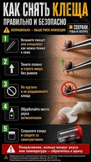Как правильно и безопасно снять клеща
