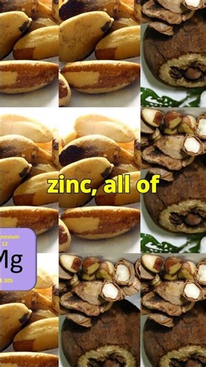 Unlock the Secret Benefits of Brazil Nuts 🌰✨