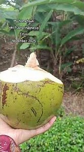 Indonesien West Java #indonesia #asia #java #westjava #indonesien #landscape #views #travel #view