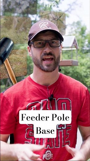 Feeder Pole Base #birdfeeder