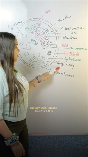 Cell organelles 🧬🧬 #biology #biologyclass9th #biologyclass #biologylecture #icse #cbse