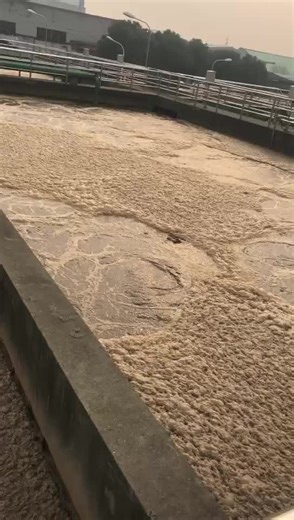 Easy Installation Air Bubbles Disc Diffuser For Aquaculture.MP4