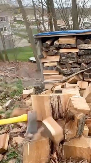 Spitting wood #woodsplitting #firewood #dadlife #morethanjustteachers #dadlifematters #campfire