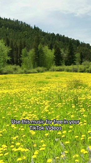 Sant Valentin Instrumental Background Music for Videos. #santvalentin #sanvalentin #santvalentinmusic #lovemusic #instrumentalmusic #piano #esoundtrax #musicforvideos #romanticsong #sentimentalsong😭