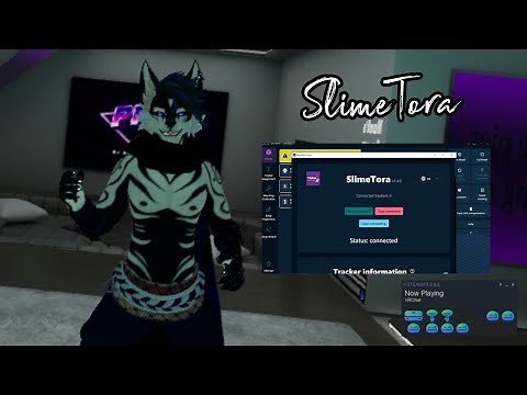 HaritoraX Trackers | Setting Up SlimeVR & SlimeTora