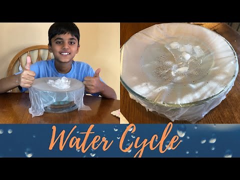Kids Water Cycle experiment || Science experiment || school science project# water cycle