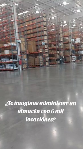 Administración de Almacenes: Retos y Prácticas Efectivas