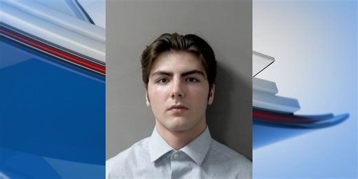 19-year-old sentenced in Delhi Township crash that killed sister, another teen