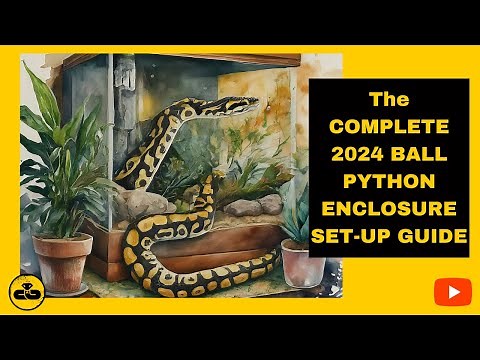 The COMPLETE 2024 #ballpython Enclosure Set-Up Guide!