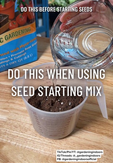 Essential Tips for Pre-Moistening Seed Starting Mix