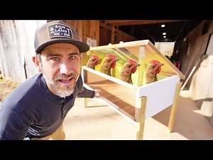 Growing our Chicken Farm with this DIY Brooder