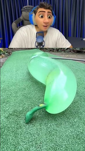 Does a Snake Explode?