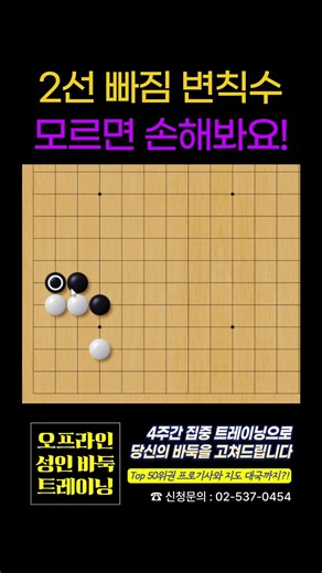 기본 소목 정석에서 빠지는 변칙수?!