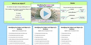 Identifying the Subject and Object of a Sentence Lesson Teaching Pack