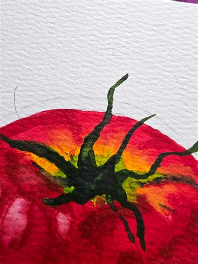 I painted a tomato for the first time 🍅 ​I followed a tutorial by Watercolor by Shibasaki, and the whole process was so simple and fun. The way he teaches using such basic forms makes it very easy to follow as a beginner. 💖 There are many areas where I can improve, but I am happy with how it turned out. I had so much fun making it. 😇 #thekxxwwxxlstudio #painting #watercolor #tomato #fyp