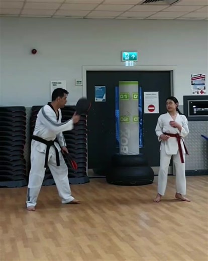 Best Taekwondo Kicking Combos | Martial Arts Reels