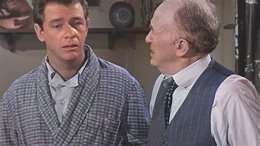 Real McCoys S04E24 (Colorized)