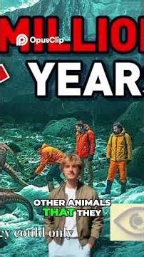 Octopuses Aliens or Earthlings The Bizarre Theory! #shorts #curiosities #facts