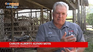 4.8K views · 61 reactions | Para las personas que nos han solicitado el reportaje completo con don Carlos Alberto Alfaro Moya, les compartimos el video, con temas de actualidad de la ganadería y aspectos de la vida personal del mayor productor de leche para la Cooperativa Dos Pinos en nuestro país | Gerardo Jiménez - El Andariego | Facebook