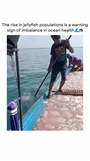 #BalliBotMogis #TrendingReels #TrendingReels #Foryoupage ##FYP #FYP #ViralTikTok #MillionViews #TechMagic #SmartBot #AlTrend #RobotVibes #Innovation #plzunfrezemyaccoun