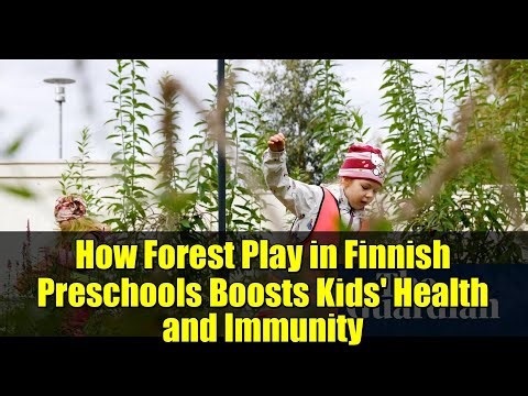 How Forest Play in Finnish Preschools Boosts Kids' Health and Immunity