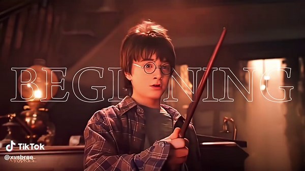 Harry Potter Edits: Exploring Characters and Moments