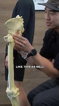 Fixing Swayback Posture PT 1