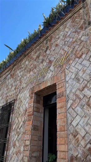 1.2K views · 13 reactions |  En el Centro de la Ciudad encontrarás un rincón de paz… bienvenidos a casa. ¿Un cafecito? #cafe #mexico | Sócrates Café | Facebook