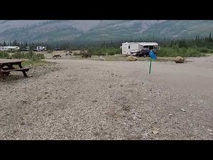 jasper snaring overflow campground July 15 2023