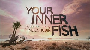 Your Inner Fish