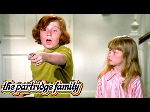 The Partridge Family | The Kids Get A Couple of Hamsters | Classic TV Rewind