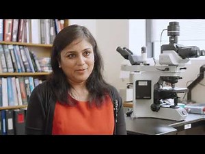 The Lab Saved My Life