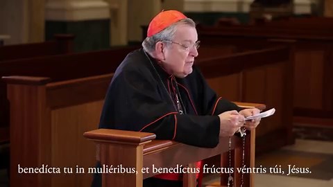 342 reactions · 14 shares | His Eminence, Raymond Leo Cardinal Burke,...