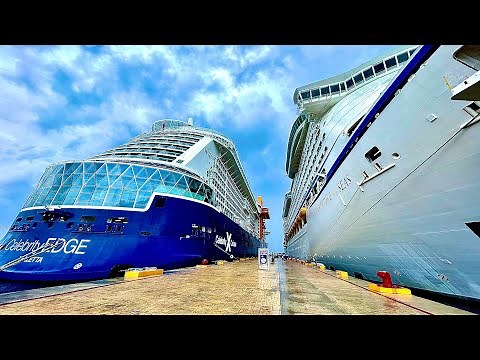 Celebrity Edge & Adventure of the Seas EPIC Horn Battle in Cozumel!