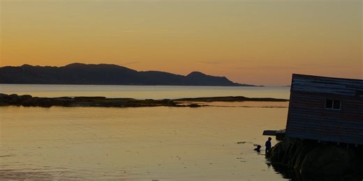 Our Favorite Albums, 2025: Individual Contributor Lists & Reflections, Part 2